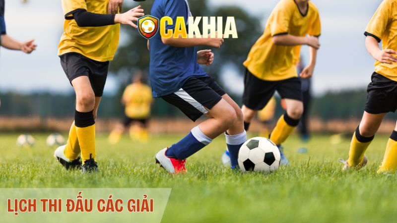 Những dữ liệu thông tin về lịch thi đấu được hiển thị