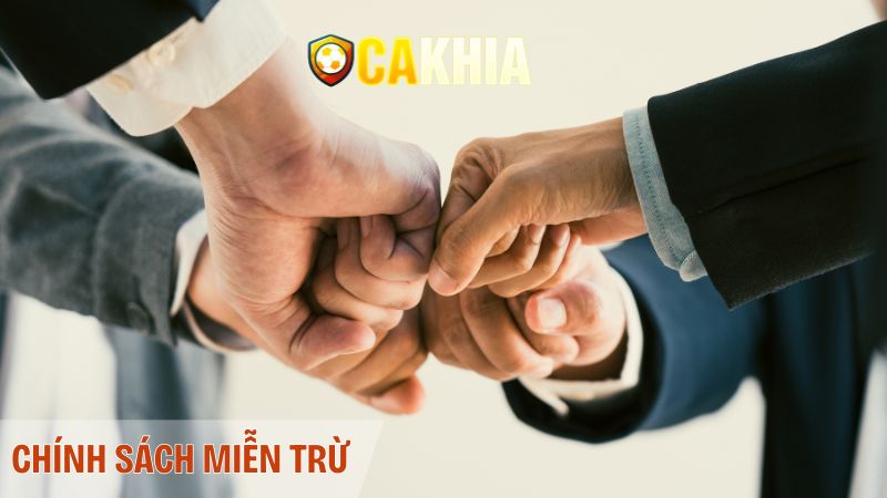 Nghĩa vụ và giới hạn hành vi của người truy cập